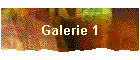 Galerie 1