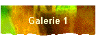 Galerie 1